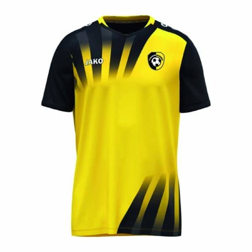 VV Nieuw Woensel Wedstrijd T-Shirt SR